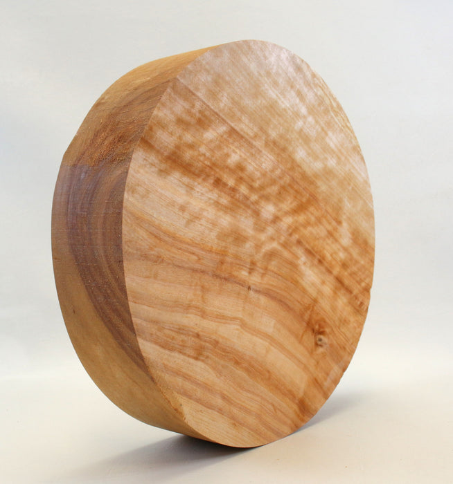 Birch Round, 12.4" x 2.8" Thick  - Stock #42691