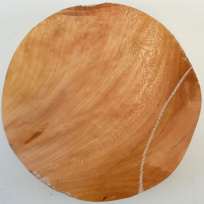 Beech Round, 10.8" x 2.6" Thick - Stock# 42697