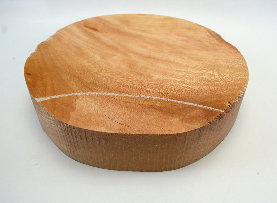 Beech Round, 10.8" x 2.6" Thick - Stock# 42697