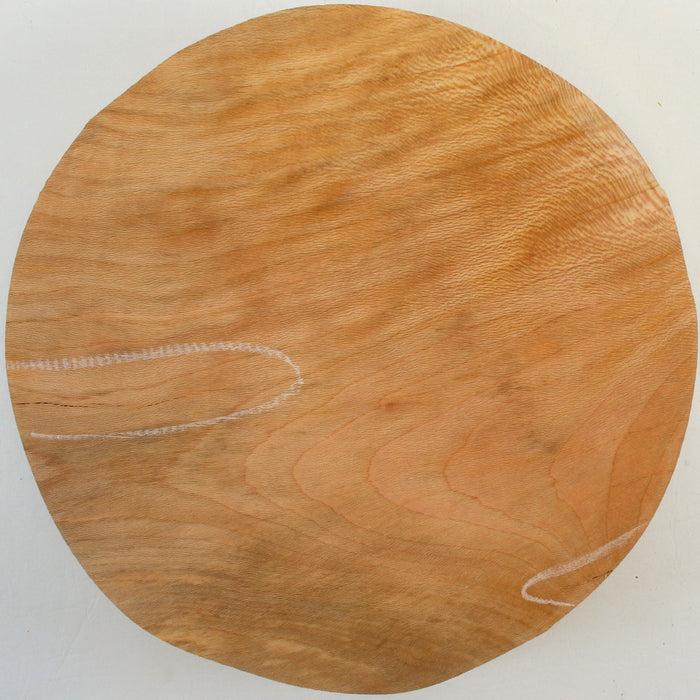 Beech Round, 10.8" x 2.6" Thick - Stock# 42697