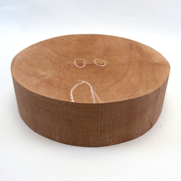 Beech Round, 9" x 2.6" Thick - Stock# 42701