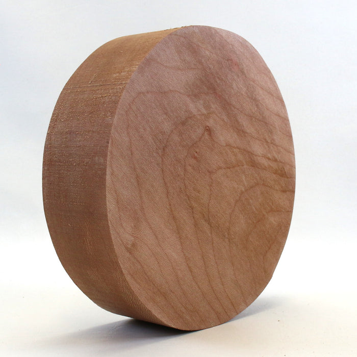 Beech Round, 9" x 2.6" Thick - Stock# 42701
