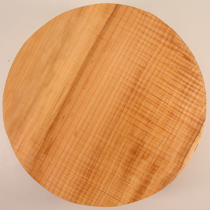 Maple Round,3A, Highly Figured, 11.8" x 3.6" Thick  - Stock #41558