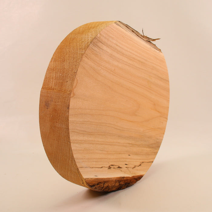 Maple Round, 10.8" x 2.3" Thick  - Stock #41557