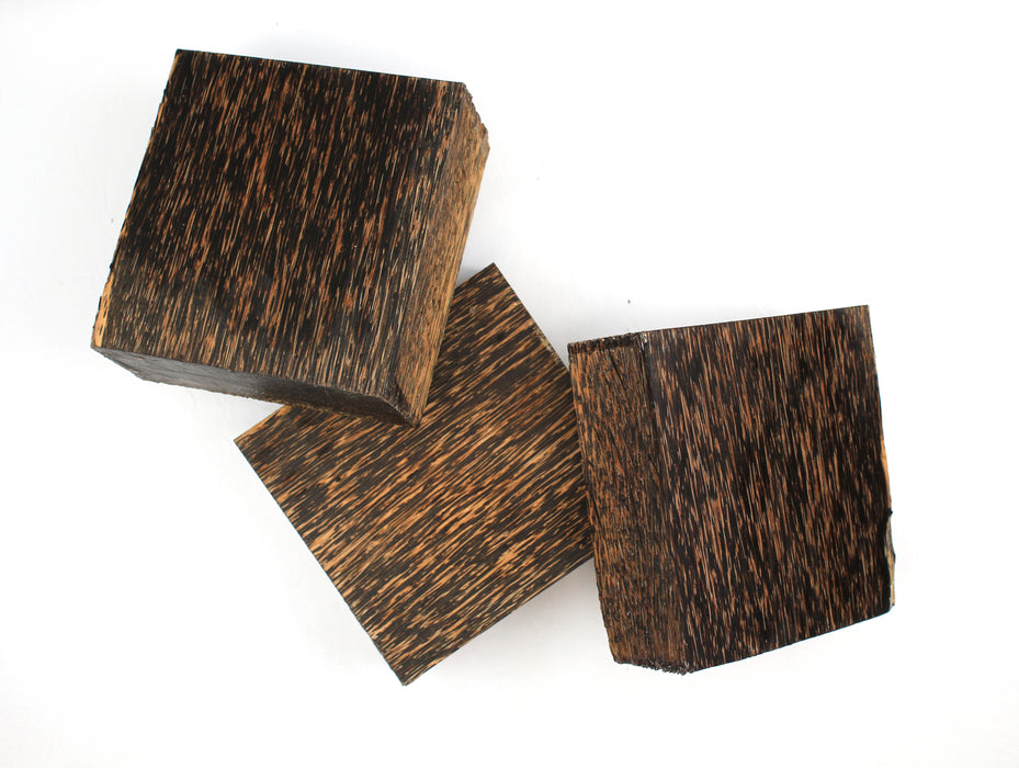 Black Palm 5" square x 2" thick (12.7cm x 5cm)