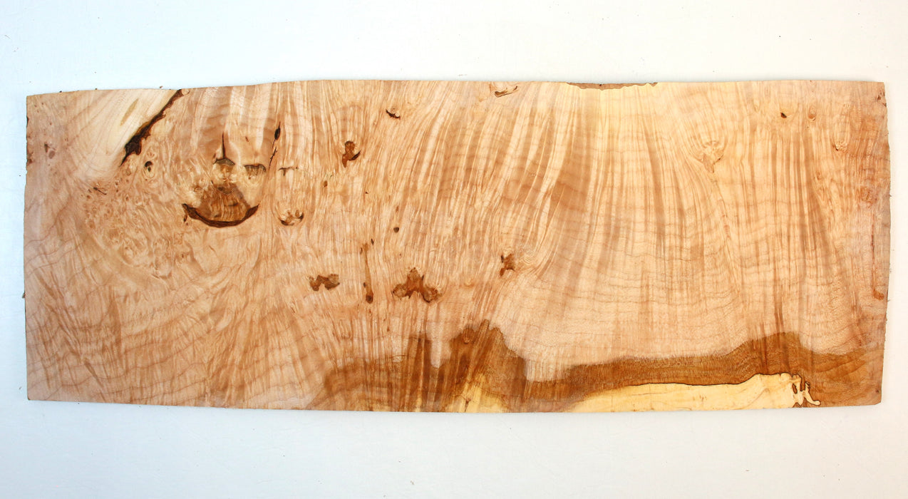 Maple Burl Pickguard/Project Slice 22.6" x 8.3" x 0.26"- Stock# 41933