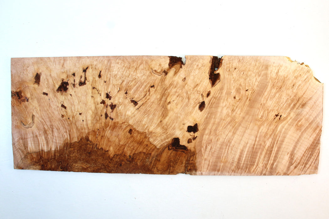 Maple Burl Pickguard/Project Slice 21.9" x 8.1" x 0.25" - Stock# 41928