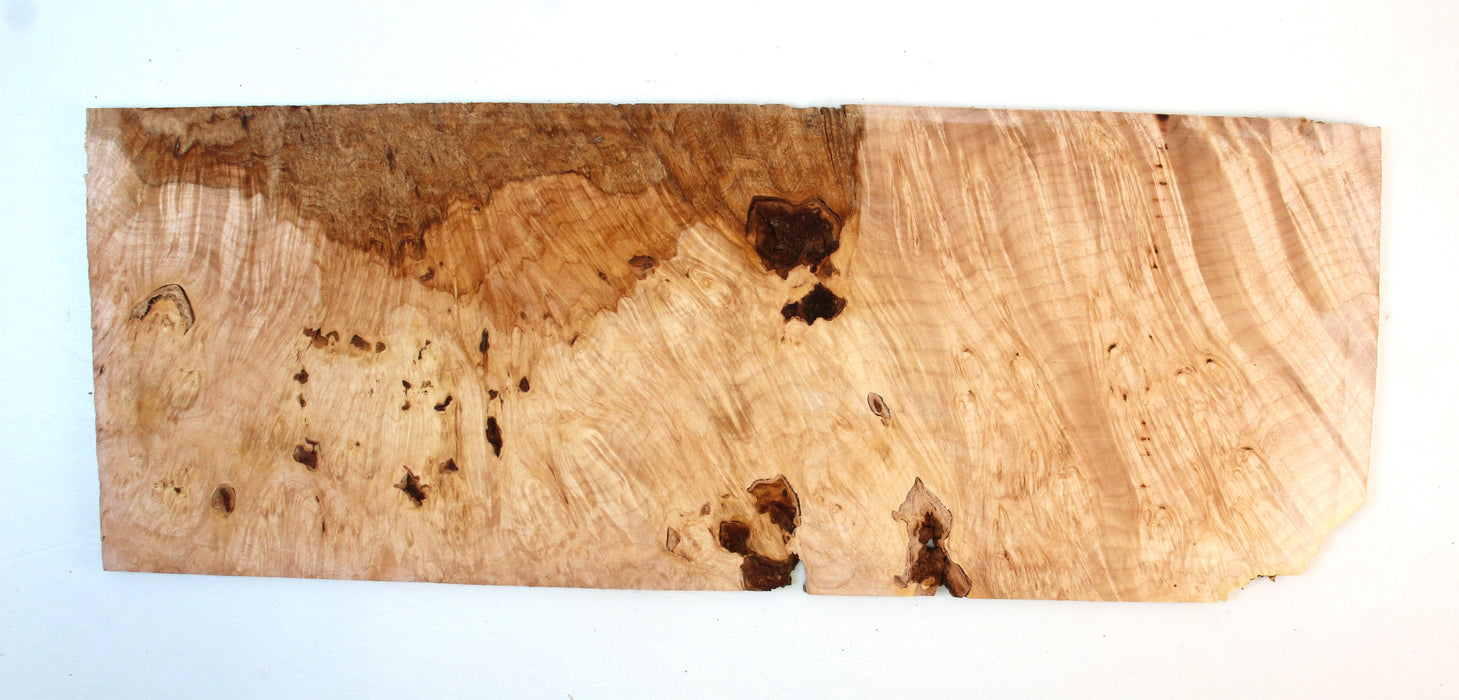 Maple Burl Pickguard/Project Slice 21.9" x 8.1" x 0.25" - Stock# 41928