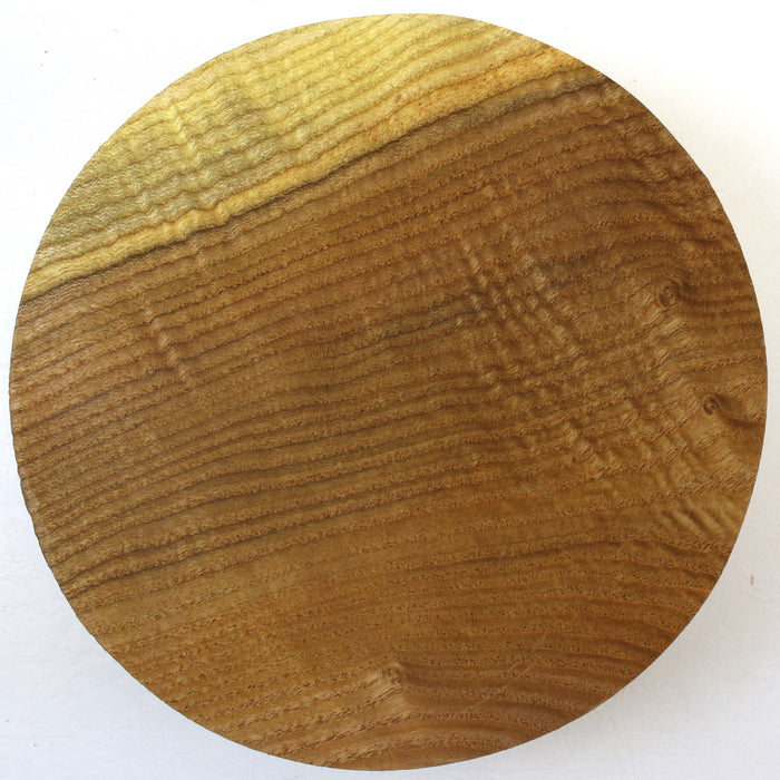 Kentucky Yellowwood Round, Figured  7.9" x 2.4" thick - Stock# 42029