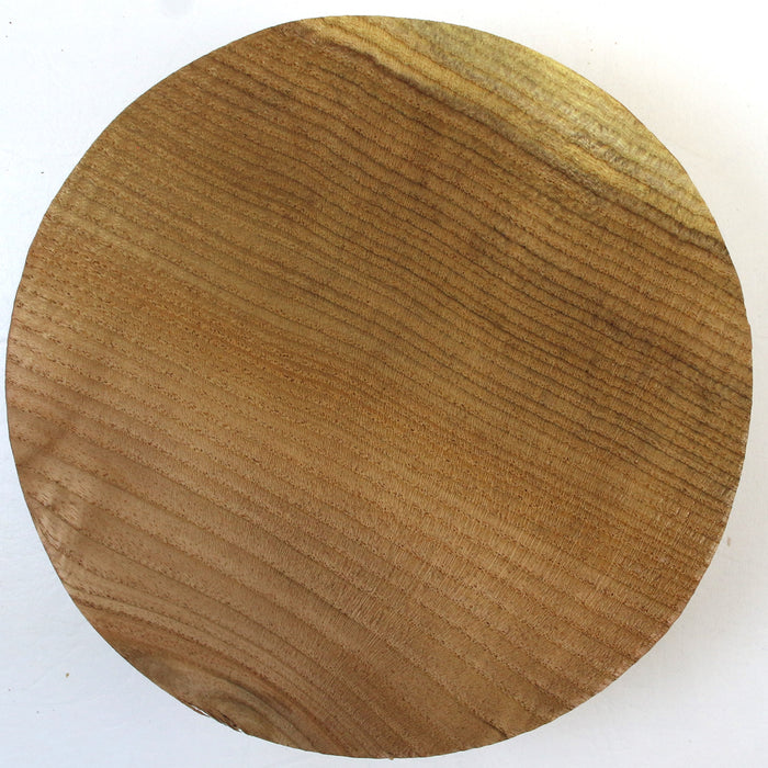 Kentucky Yellowwood Round, Figured  7.9" x 2.4" thick - Stock# 42029