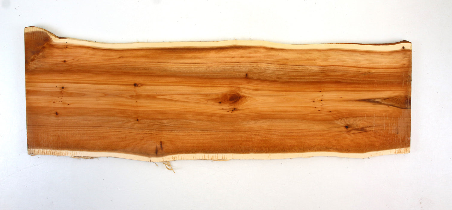 Yew Live Edge Project Slice 22.6" x 6.7" x .37"- Stock# 42116
