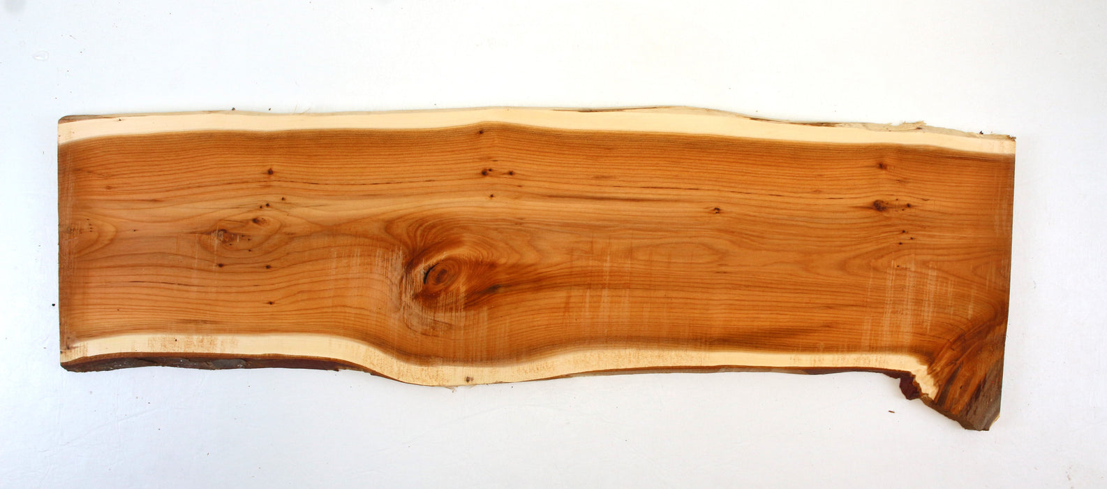 Yew Live Edge Project Slice 23.0" x 6.1" x .39"- Stock# 42124