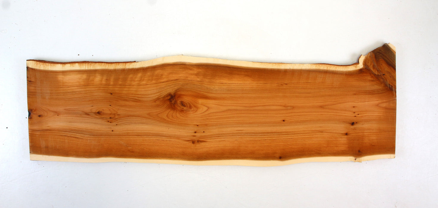 Yew Live Edge Project Slice 23.0" x 6.1" x .39"- Stock# 42124