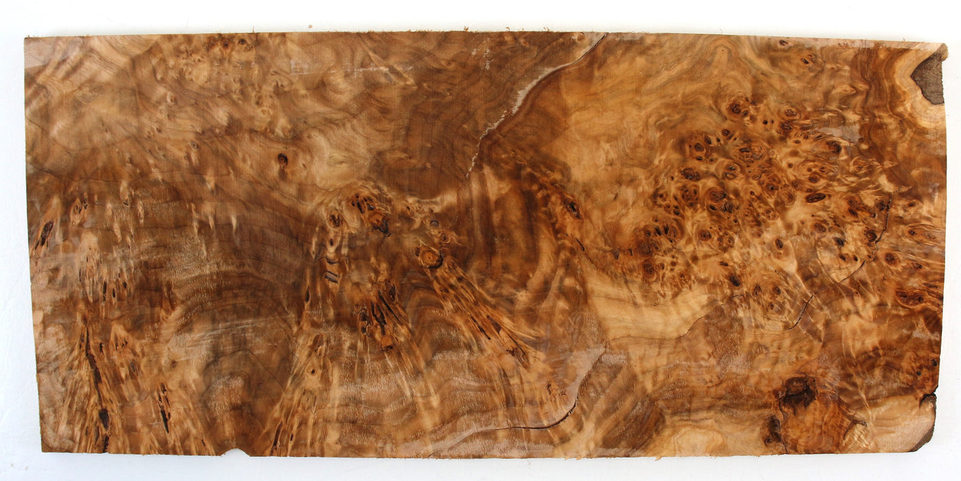Cottonwood Burl Craftwood Project Slice, 9.2mm (.36") Thick - Stock# 42156