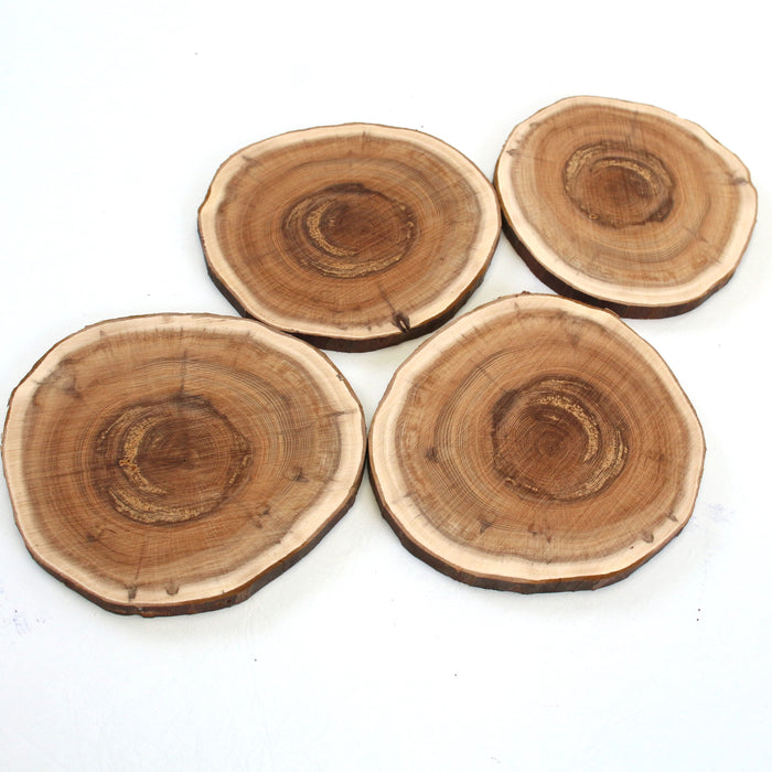 Yew Live Edge Slices- Set of 4 - Stock# 42158