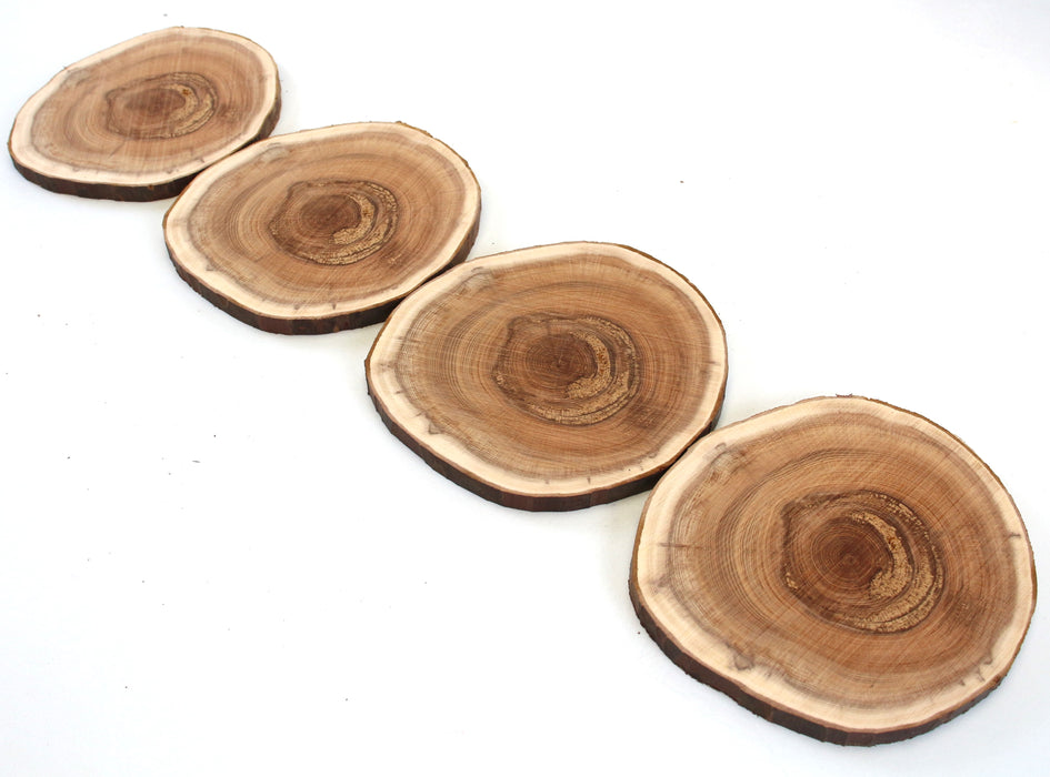 Yew Live Edge Slices- Set of 4 - Stock# 42159