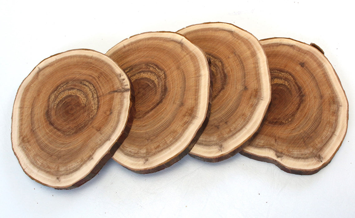 Yew Live Edge Slices - Set of 4 - Stock #42161