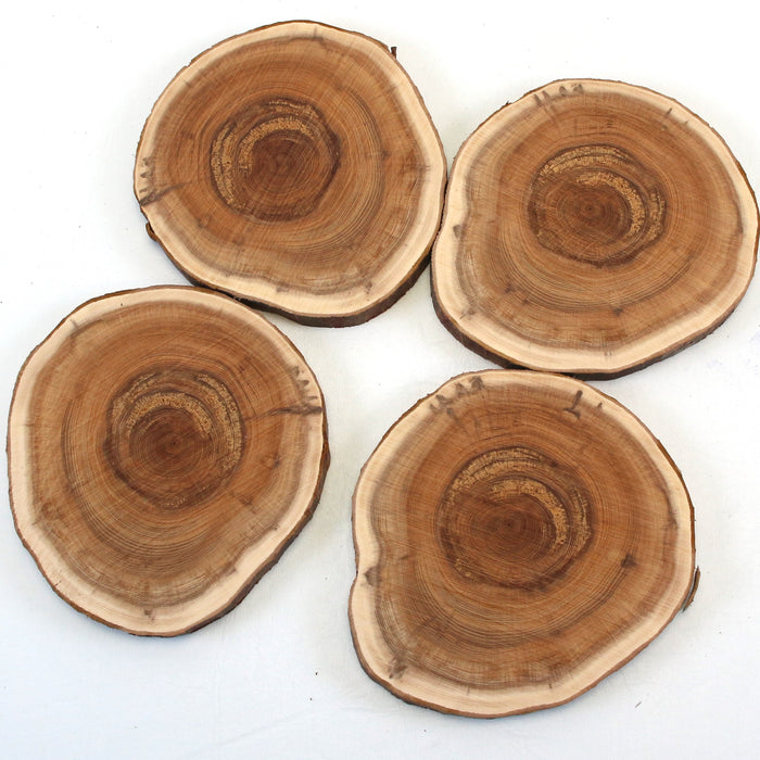 Yew Live Edge Slices - Set of 4 - Stock #42161
