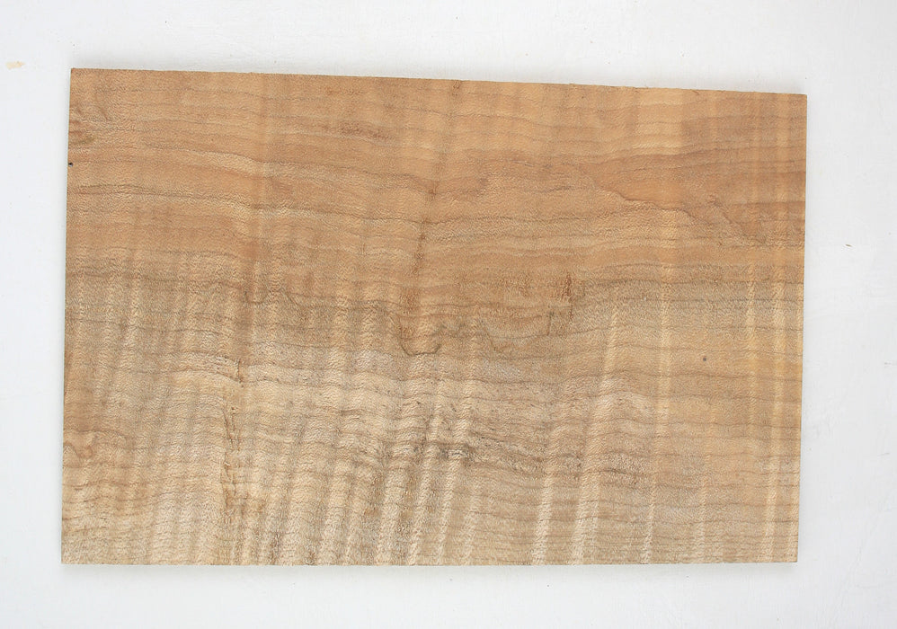 Maple Flame Spalted Headstock Veneer, Highly Figured, 5.3mm (0.20") Thick - Stock #40841