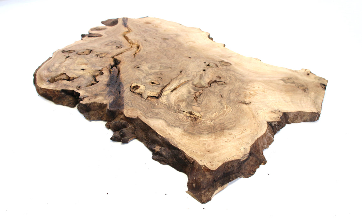 Black Walnut Burl Live Edge Project Slice 21.7" x 13.8" x 0.71"- Stock# 41787