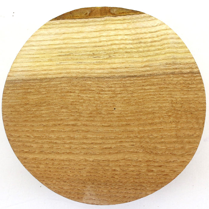 Kentucky Yellowwood Round, Figured  6.1" x 2.7" thick - Stock# 42258