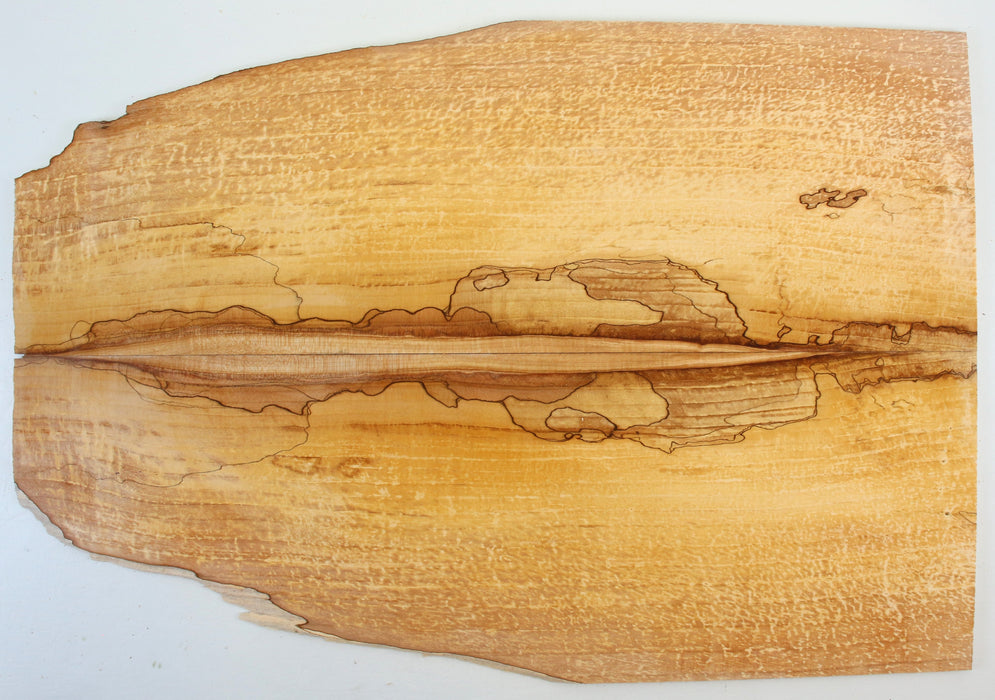 Maple Spalt Guitar Set, 4A Highly Figured, 0.20"(5.1mm) Thick - Stock #42352