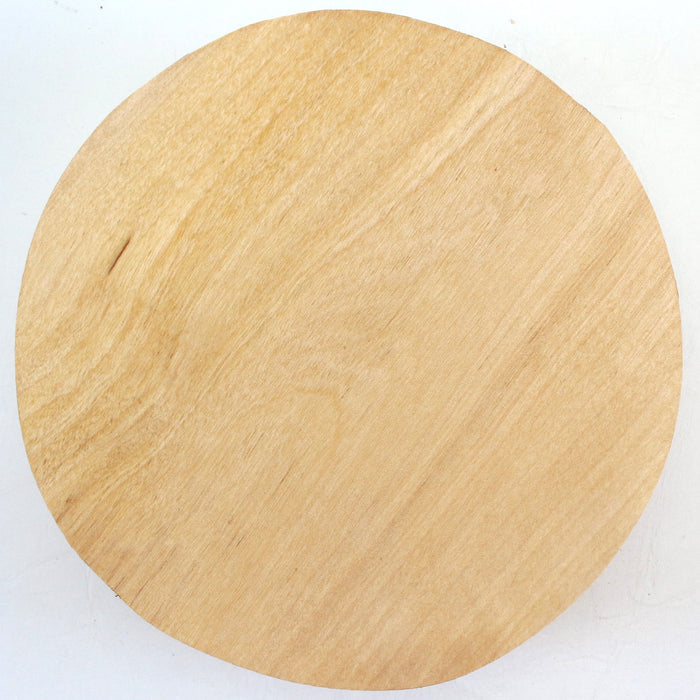 Birch Round, 7" x 2.8" Thick  - Stock #42512