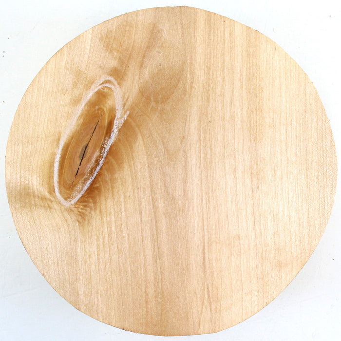 Birch Round, 7.9" x 2.4" Thick  - Stock #42550