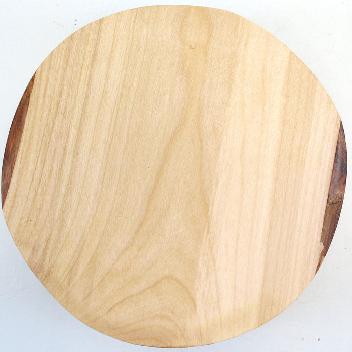 Birch Round, 8" x 2.9" Thick  - Stock #42541