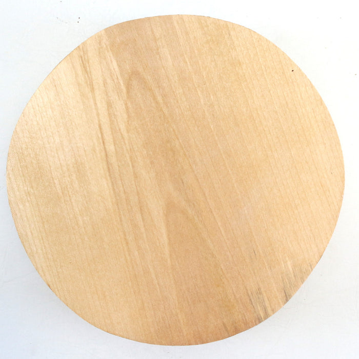 Birch Round, 8" x 2.9" Thick  - Stock #42541