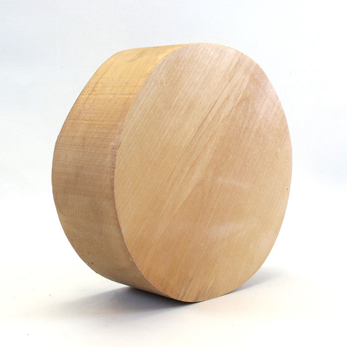 Birch Round, 8" x 2.9" Thick  - Stock #42541